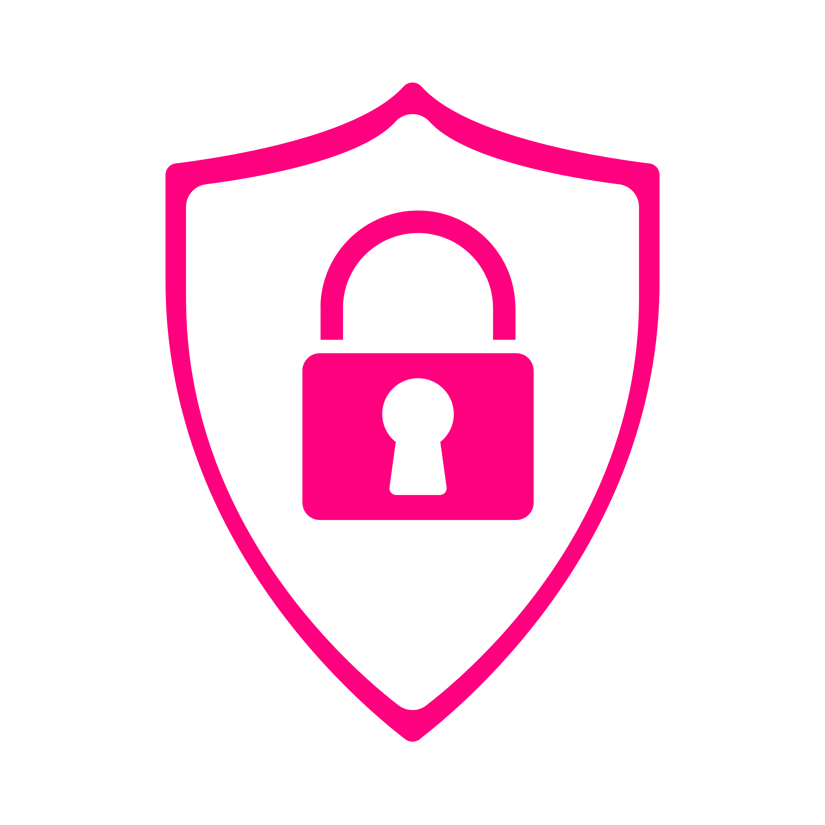 security-icon
